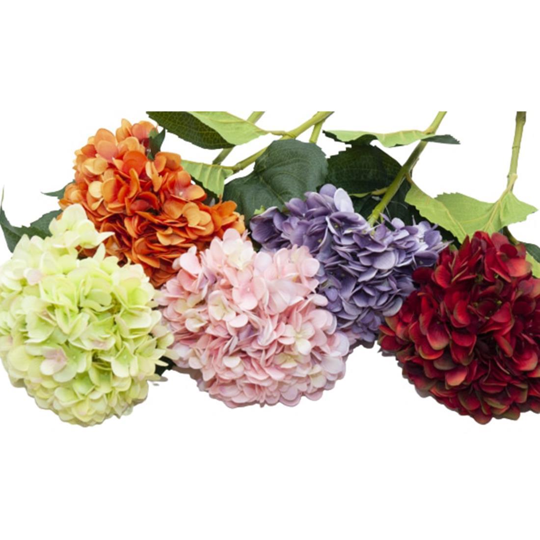 HORTENSIA STDO DE COLORES 80CM - Blanco Azahar