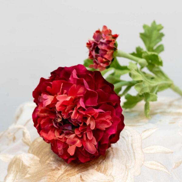 flor flamenca ranunculo rojo rosa