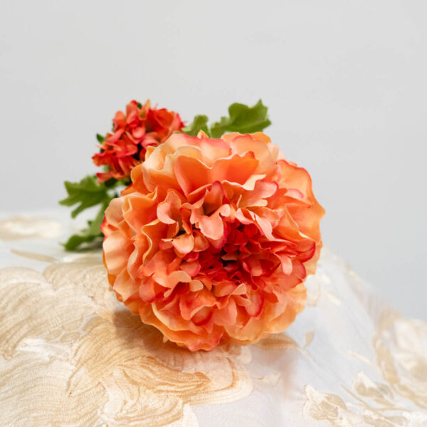 flor flamenca ranunculo salmon