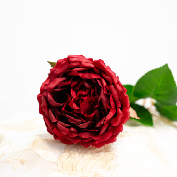 flor flamenca rosa roja