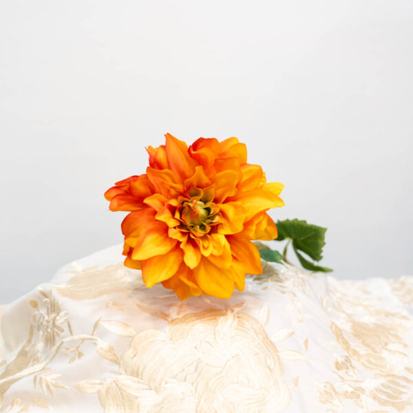 dalia amarillo naranja flor flamenca