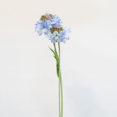 SCABIOSA AZUL artificial