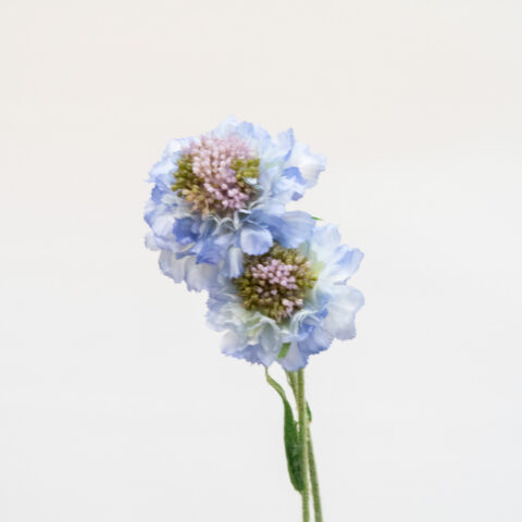 SCABIOSA AZUL artificiales