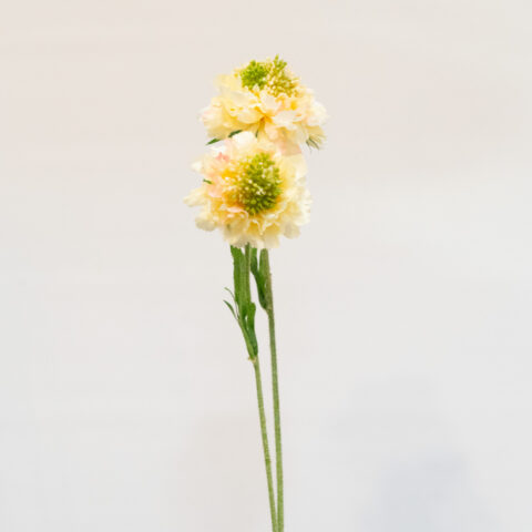 SCABIOSA CREMA FLOR ARTIFICIAL