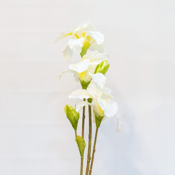 IRIS LIRIO MAXI BLANCO ARTIFICIAL